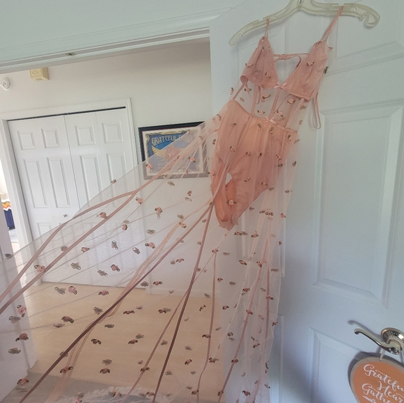 For Love & Lemons sheer Maxi Rose dress - Picture 2 of 13